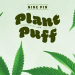 Plant + Puff: Bonsai Bar