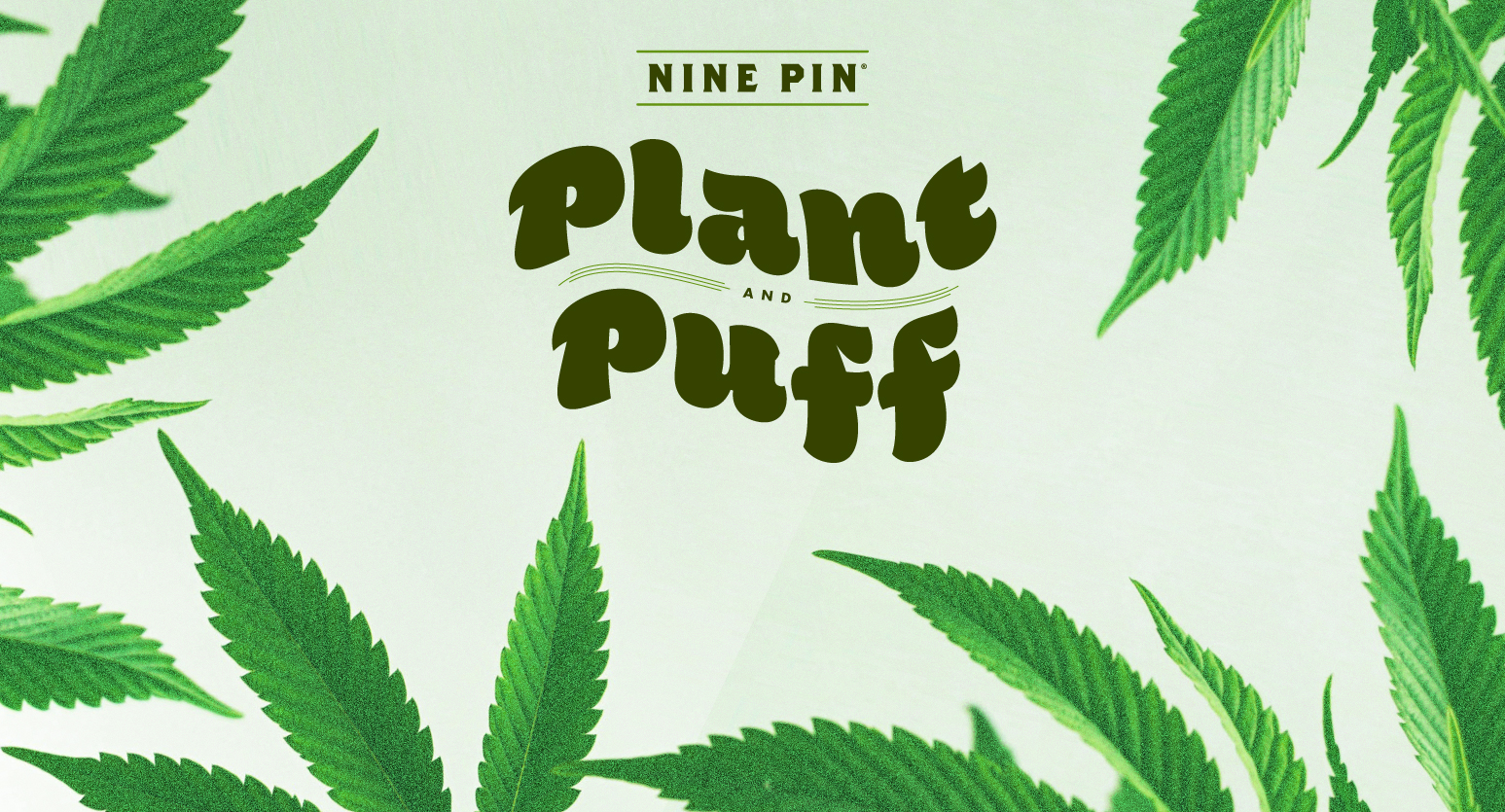 Plant + Puff: Bonsai Bar