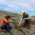 Adirondack mountain club studying thuja plants
