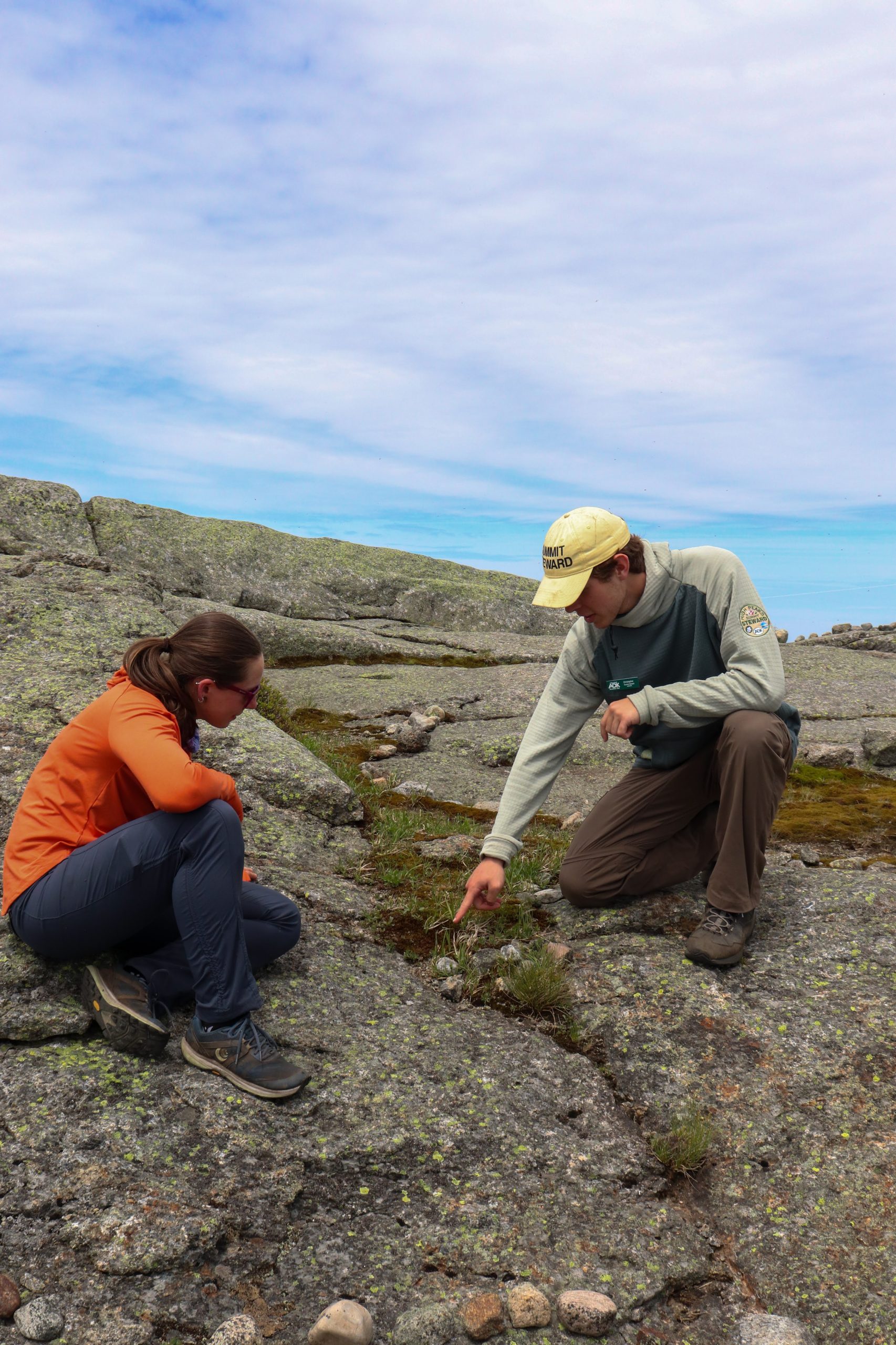 Adirondack mountain club studying thuja plants