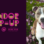 Vendor Pop-up: Petey's Legacy