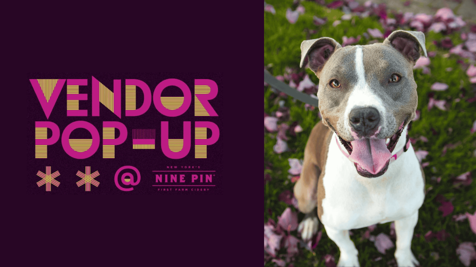 Vendor Pop-up: Petey's Legacy