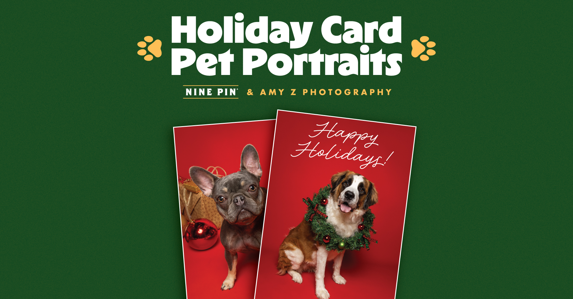 Holiday Card Pet Portraits